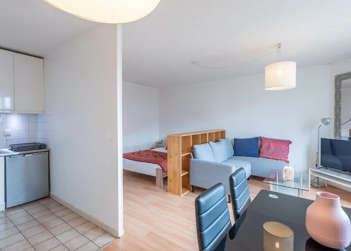 M078 Marquer Joli Château Rouge Appartement Annemasse